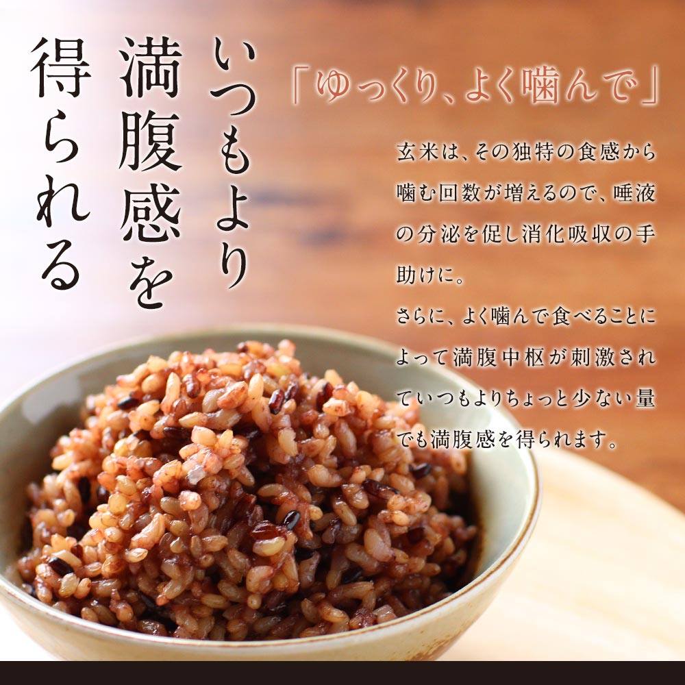 発酵発芽玄米(160g×5食パック)パックご飯玄米発芽玄米黒米赤米緑米乳酸菌あきたこまちブレンド米美容健康アントシアニンポリフェノールタンニンクロロフィル古代米国産便利レンジカフェ飯レトルト有機JASGABA送料無料4510TSG