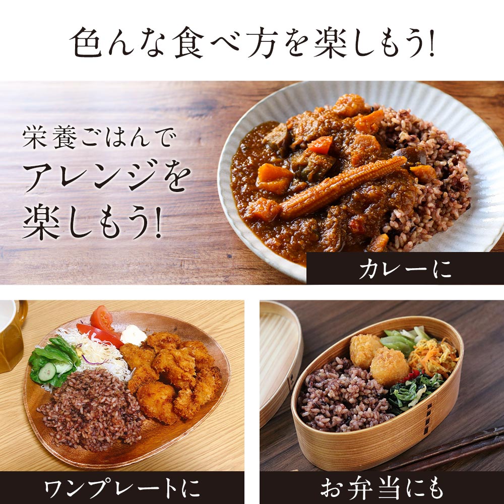 発酵発芽玄米(160g×5食パック)パックご飯玄米発芽玄米黒米赤米緑米乳酸菌あきたこまちブレンド米美容健康アントシアニンポリフェノールタンニンクロロフィル古代米国産便利レンジカフェ飯レトルト有機JASGABA送料無料4510TSG