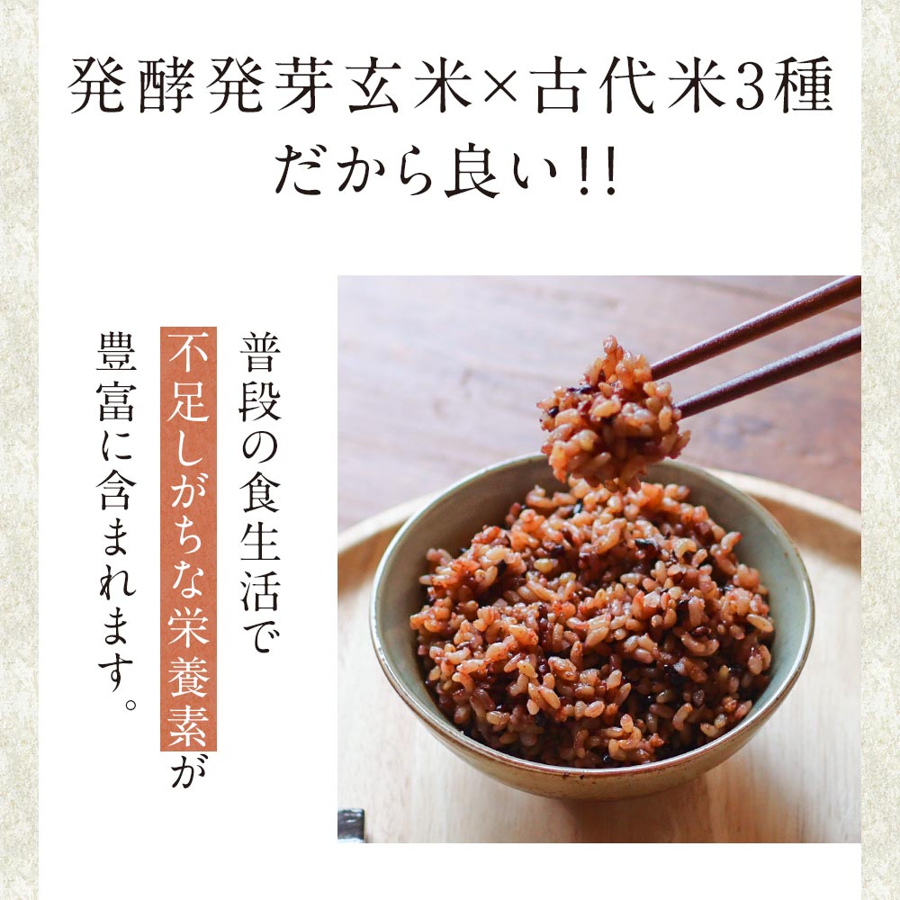 発酵発芽玄米(160g×5食パック)パックご飯玄米発芽玄米黒米赤米緑米乳酸菌あきたこまちブレンド米美容健康アントシアニンポリフェノールタンニンクロロフィル古代米国産便利レンジカフェ飯レトルト有機JASGABA送料無料4510TSG