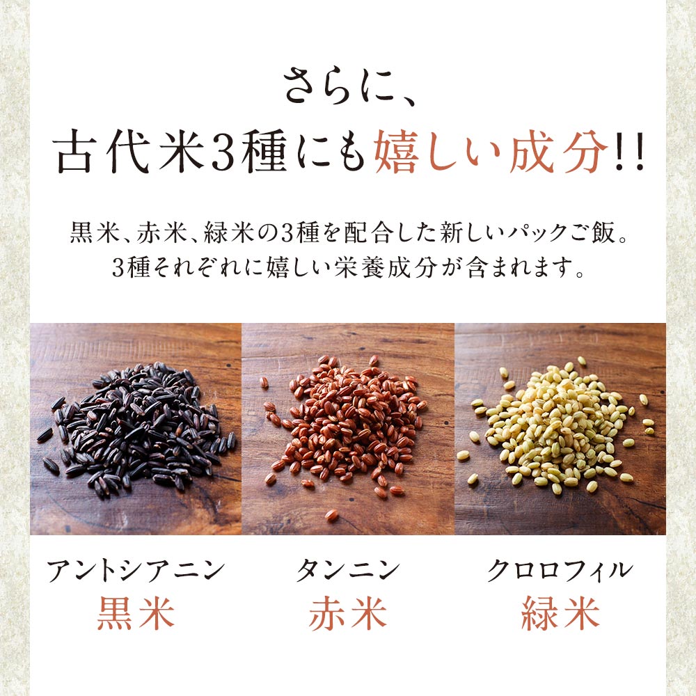 発酵発芽玄米(160g×5食パック)パックご飯玄米発芽玄米黒米赤米緑米乳酸菌あきたこまちブレンド米美容健康アントシアニンポリフェノールタンニンクロロフィル古代米国産便利レンジカフェ飯レトルト有機JASGABA送料無料4510TSG