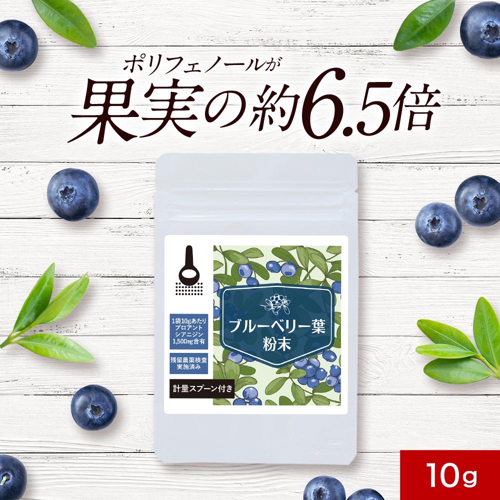 楽天市場】ブルーベリー葉 粉末 (10g) 送料無料 宮崎県産 無農薬 安全