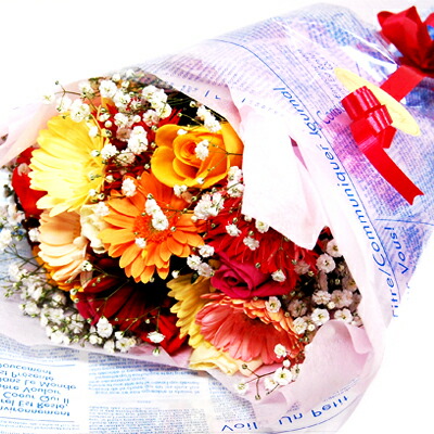 バラとガーベラの花束 誕生日　送料無料　【楽ギフ_メッセ入力】【鮮度保持剤】 【楽ギフ_ メッセージカード】【RCP】