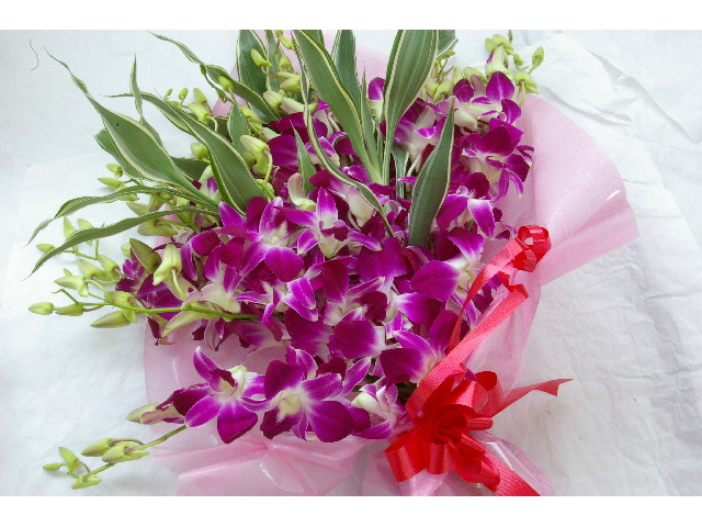 楽天市場 ピンクデンファレ本の花束誕生日 花 洋蘭 デンファレ 敬老の日 母の日 お祝い お供え フラワーギフト Natural Earth