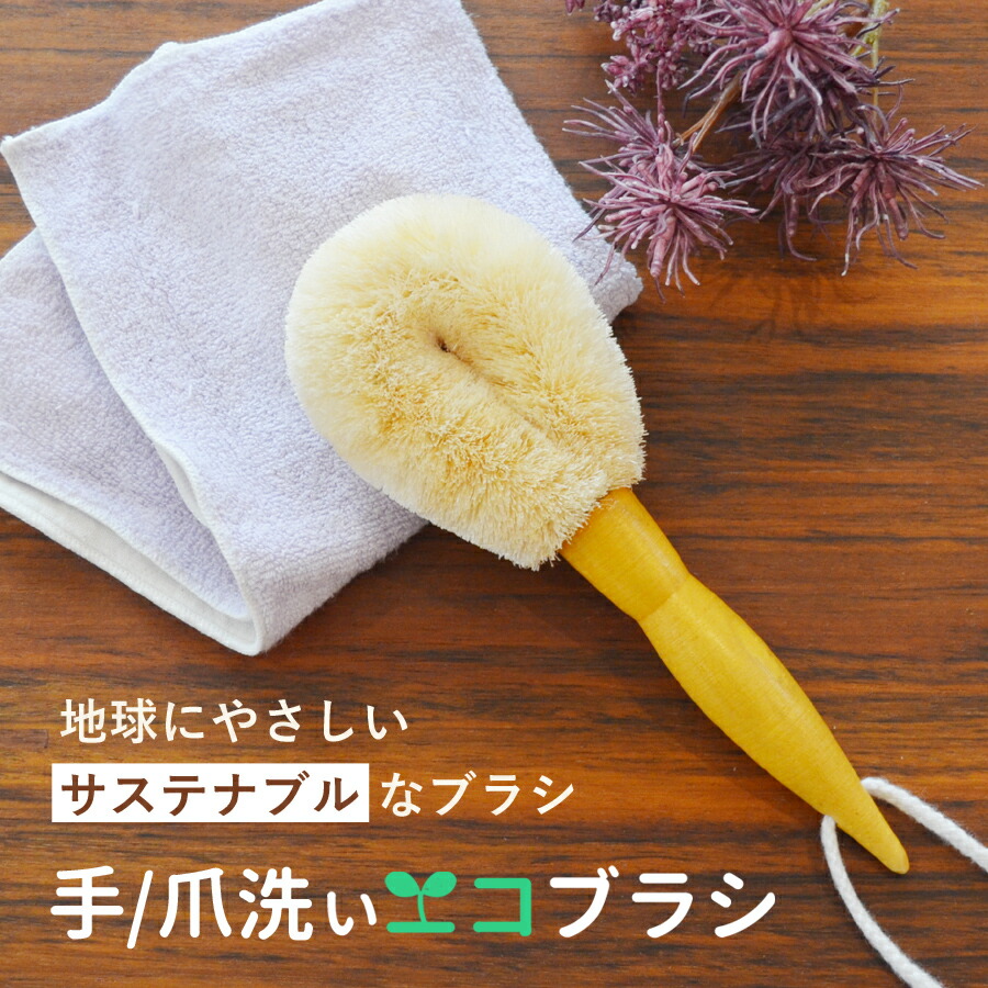 【楽天市場】ハンド&ネイルブラシ プチギフト Hand & Nail brush サステナブル ブラシ 高級 天然ブラシ エコブラシ ウエット