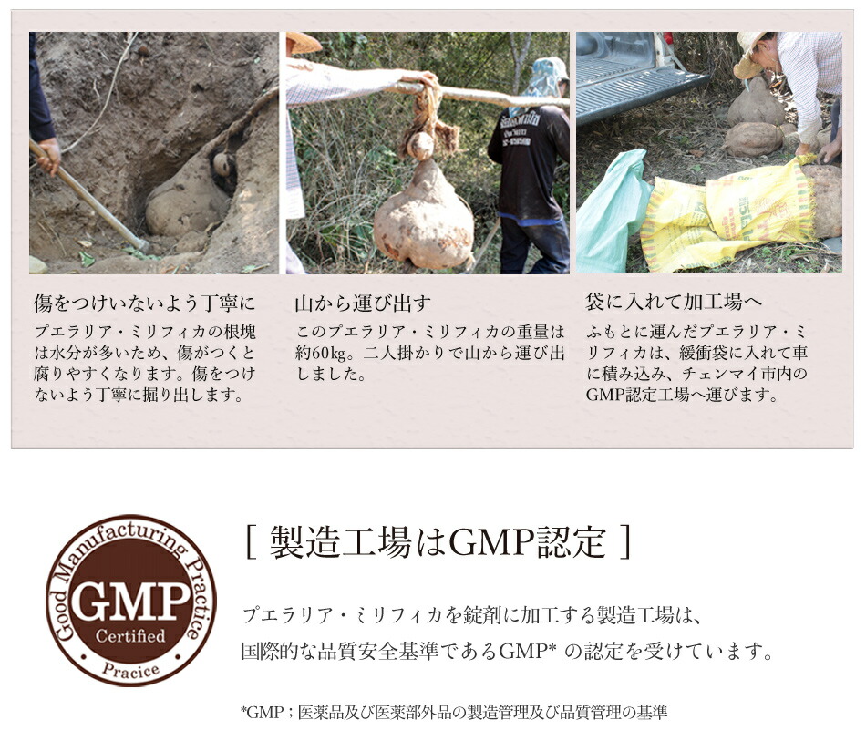 楽天プエラリア満足度ランク1位 マチュレ レディース スピルリナ モア100mg240粒 女性ホルモン 純天然プエラリアミリフィカ ガウクルア ナチュラルサプリ タイ天然ハーブ 純天然プエラリア含有量100mg 1粒