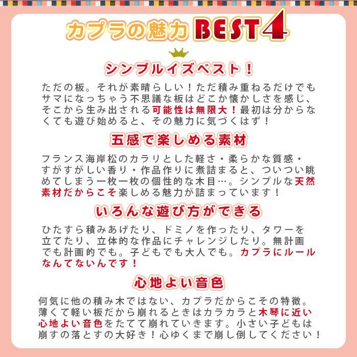 カプラカラー正規品積み木ブロック知育玩具KAPLAカプラカラーカプラ3箱セットオーシャンoceanブルーシェル×ダークブルー×ホワイトあす楽対応【ナチュラルリビング】