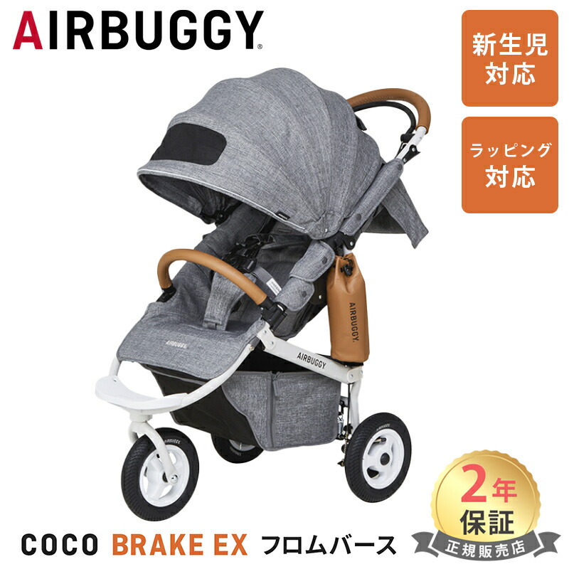 美品 エアバギー ココ ブレーキ ハワイ限定カラー モンステラ柄 付属品多数 美品 エアバギー ココ ブレーキ ハワイ限定カラー モンステラ柄
