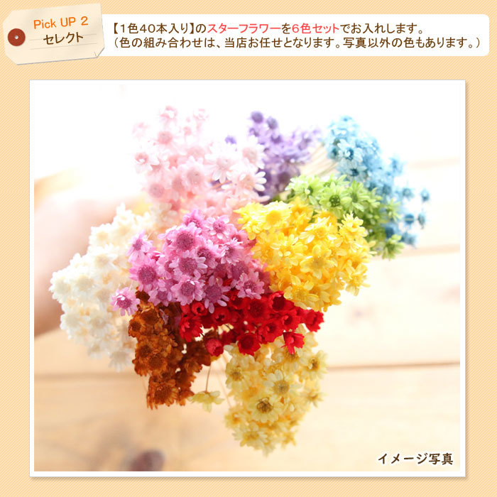 21 お花の福袋 キット 花材 花器 Rvcconst Com