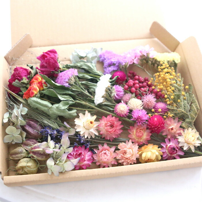 花材セット パープル  Ｎｏ．582 楽天市場】ブルー＆パープル系ドライフラワー 花材 セット 【A5