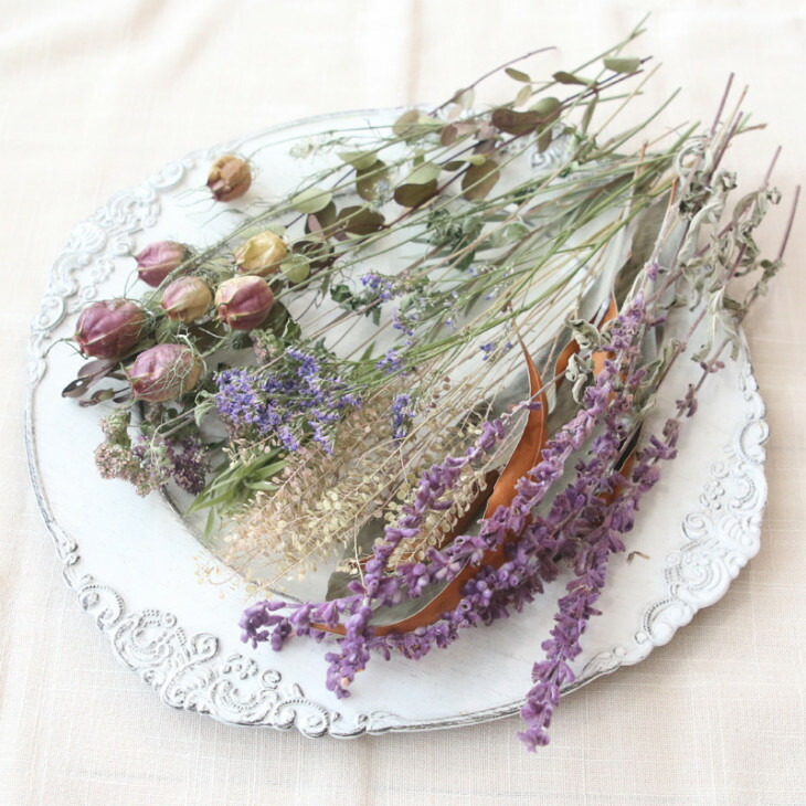 楽天市場】ニゲラ ドライフラワー 40本 【 クロタネソウ フーセン