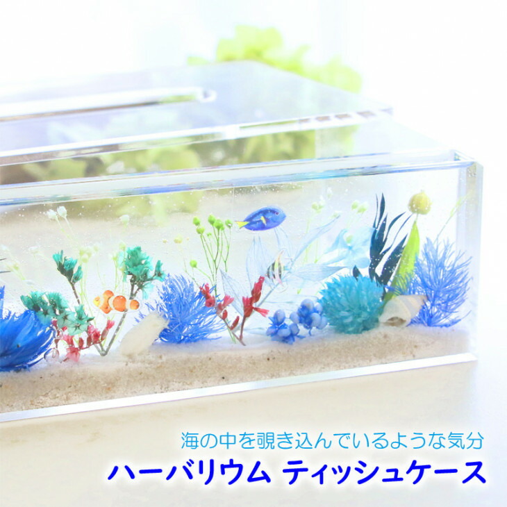 福袋 2026 花材 大静電容量 プリザーブドフラワー 素っ気ない御花 寸法押さえる