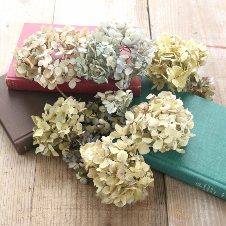 アジサイ ドライフラワー7箱 000000092471-01-l.jpg?t=