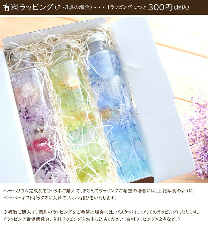 楽天市場 ハーバリウム オアシス Oasis 完成品 砂漠 グリーン 緑 水 自然 ブルー プレゼント ギフト 花 アレンジ 結婚祝い 結婚 誕生日プレゼント 父の日 春 ハーバリウム花材店 Natural Moco