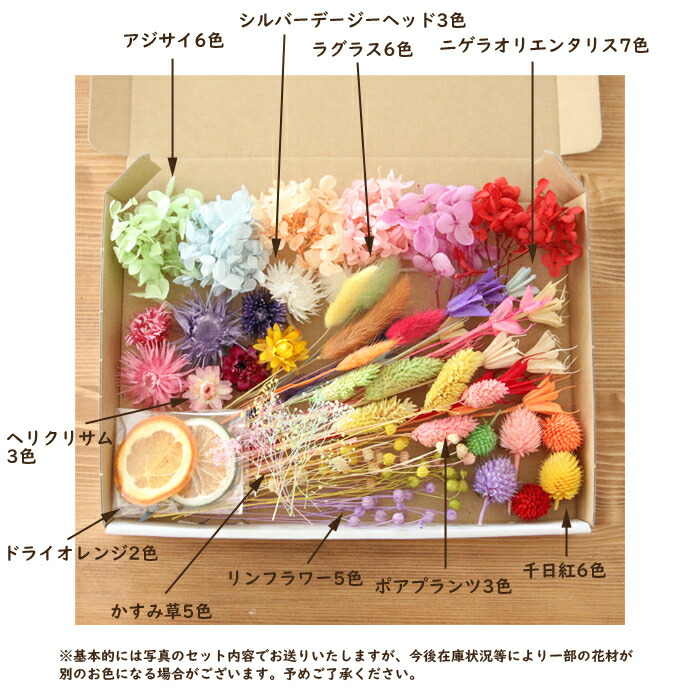楽天市場 メール便で送料無料 特大サイズ カラフル 花材セット ドライフラワー 詰め合わせ 花材 キット プリザーブドフラワー アジサイ シルバーデージー かすみ草 ハーバリウム アロマワックスバー ハーバリウム花材店 Natural Moco