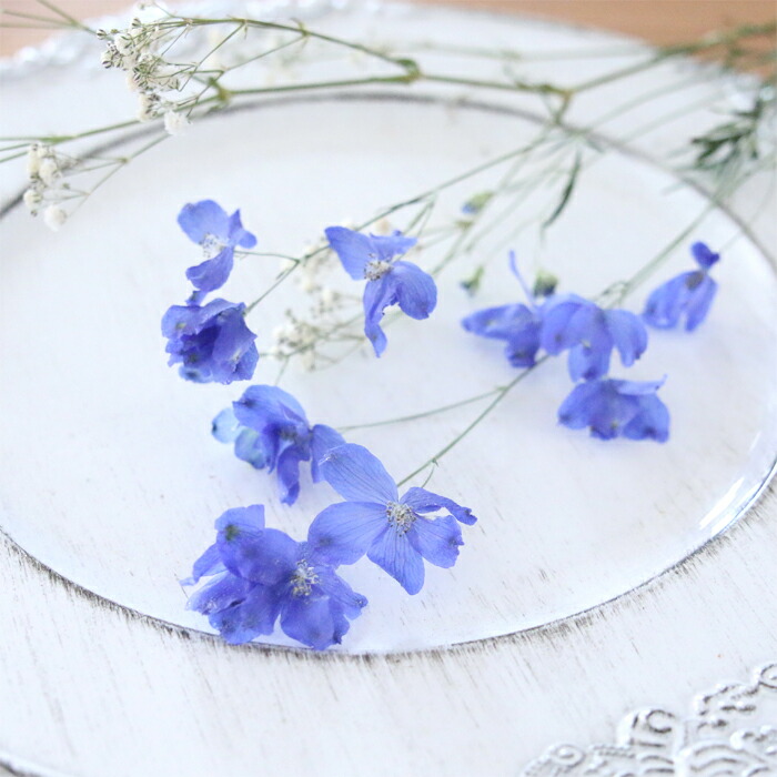 デルフィニウム ブルー2本 セット 花材 カスミ草1本 ドライフラワー 特殊加工により花びらが