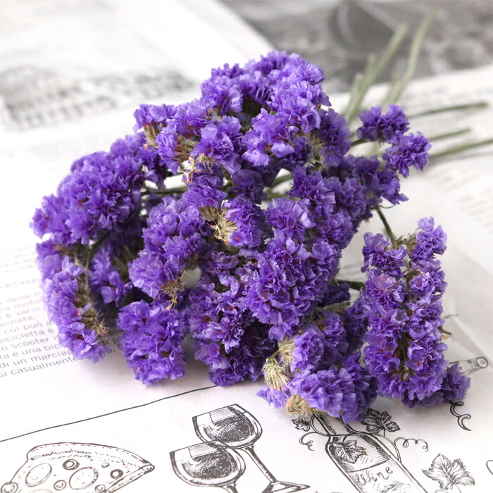 スターチスドライフラワー❣️ニュアンスカラー✨50本‼︎ ドライフラワー「スターチス」 | tokyo_shokubutsu_zufu