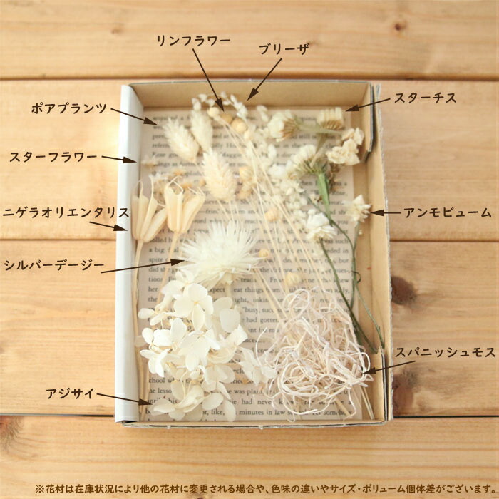 10御敵仕かける おバーゲン 花材道具一式 ハーバリウム アロマワックスバー カレイド御本 ぱさぱさ御花 フラワー授業 花材 多彩 御母の時代 Digitalland Com Br