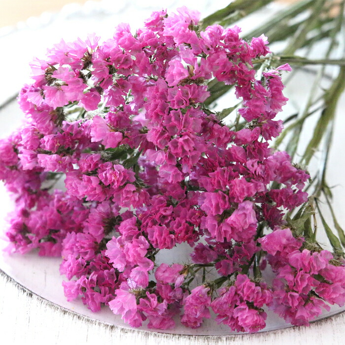 濃いピンクの造花　80本 楽天市場】【生花】スターチス(ピンク) ※濃淡おまかせ 60cm程度