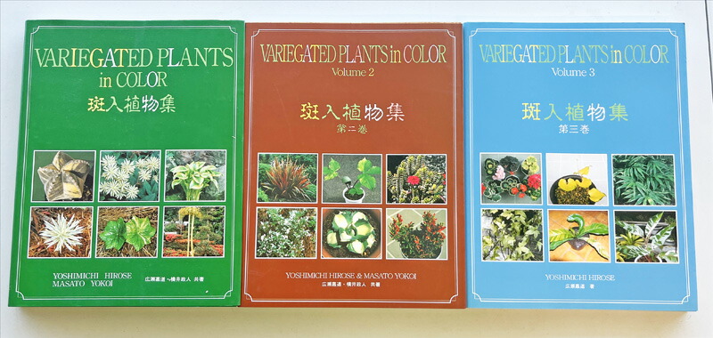 斑入植物集　全３巻セット 楽天市場】斑入植物集 A4版 第3巻 広瀬嘉道著 ヴァリエ ナイン社