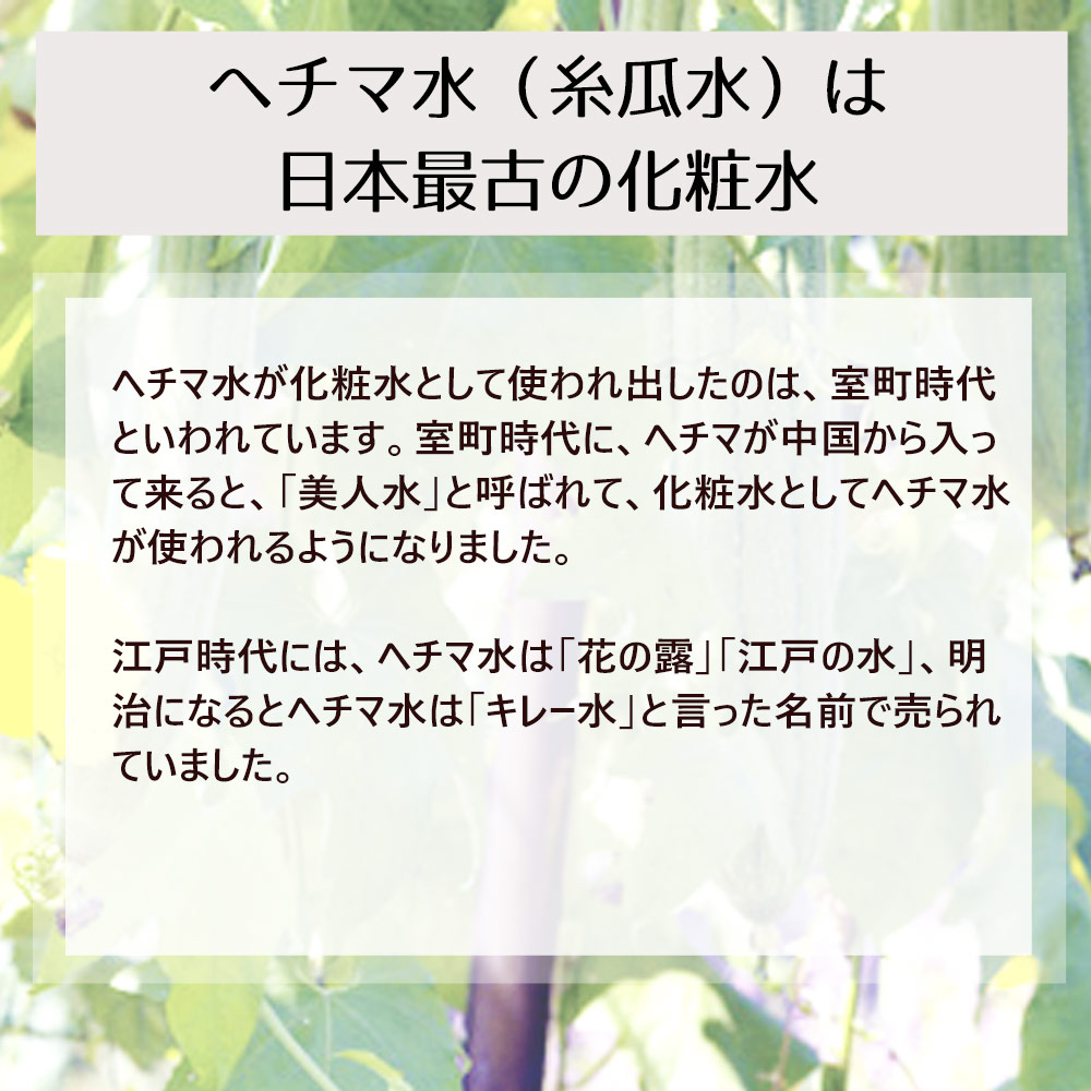 楽天市場 ヘチマ水 へちま水 100ml 詰め替え用 植物水 フローラルウォーター 自然化粧品研究所 手作り化粧品 コスメ 化粧水 スキンケア へちま ヘチマ ポスト投函可 自然化粧品研究所