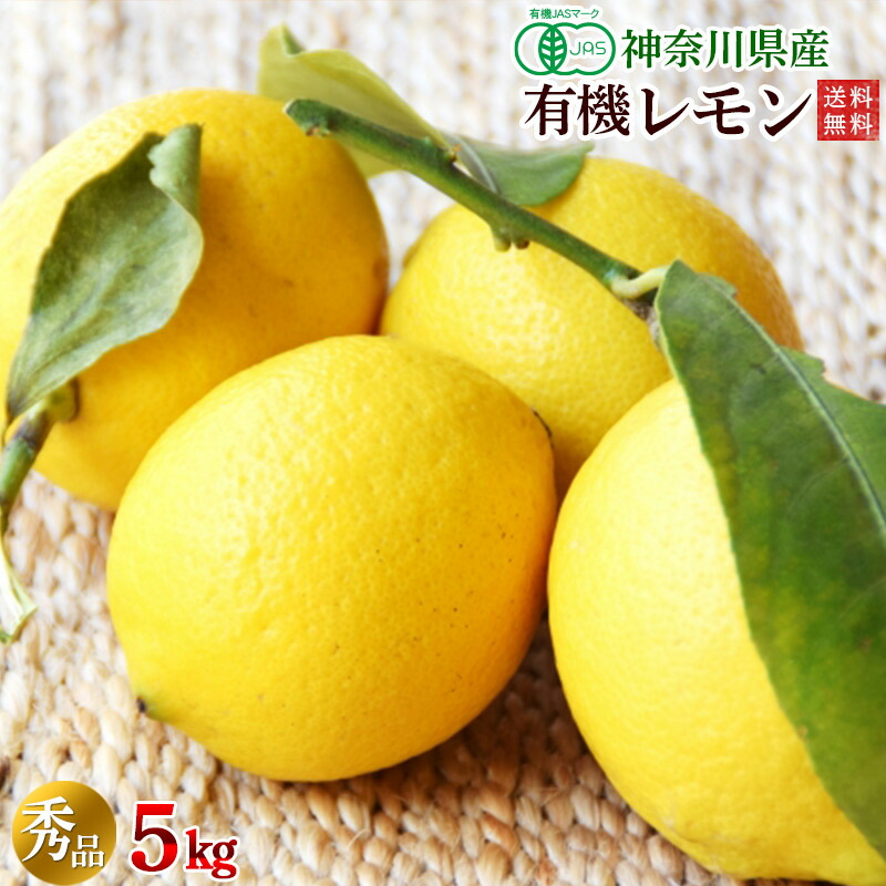 有機レモン５ｋｇ・神奈川県小田原産有機栽培（有機ＪＡＳ）秀品【送料無料】