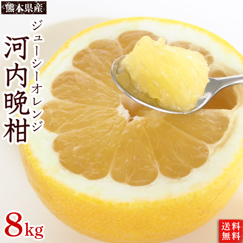 熊本県産・河内晩柑（ジューシーオレンジ）８ｋｇ（サイズ混合）１６～２５玉・Ａ品【送料無料】