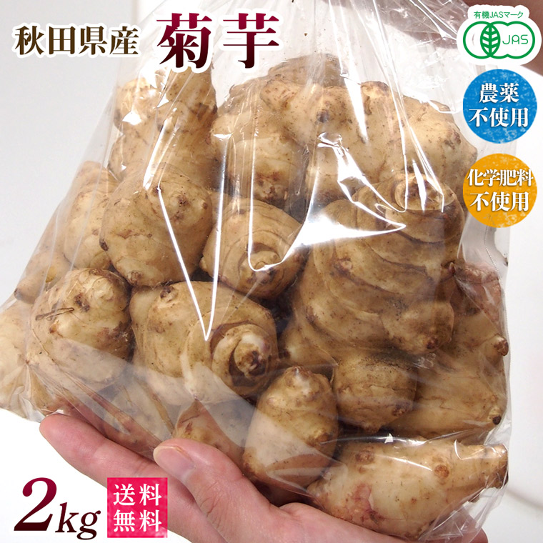 無農薬栽培の菊芋　24ｋｇ　(9) 佐々木健康自然農園 BASE店