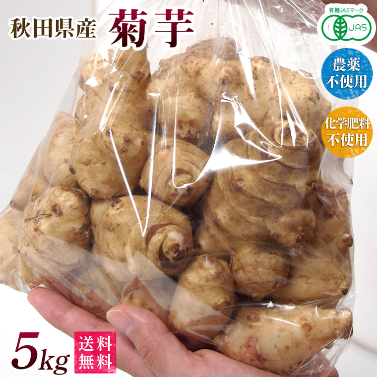 ちこ　菊芋10キロ 楽天市場】新物【2025年産】有機菊芋10kg（きくいも）洗い