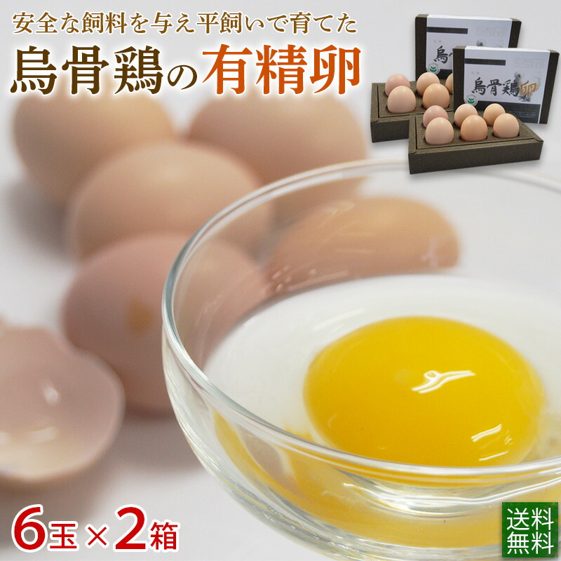 原種 烏骨鶏のたまご 玉 玉 箱 静岡県産 送料無料 毎週 セット限定 平飼い 有精卵 クール便 Umu Ac Ug