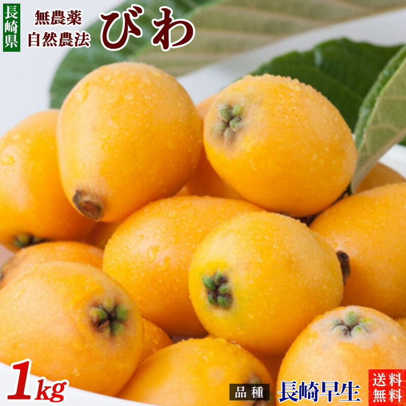 長崎県産　農薬・化学肥料不使用　びわ（長崎早生）１ｋｇ【秀品】自然農法【送料無料】無農薬・クール便