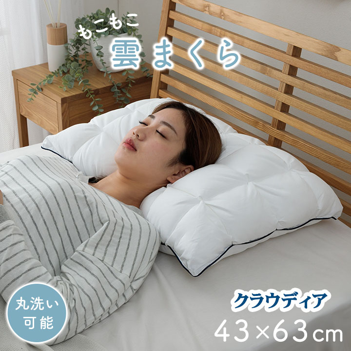 使い古し枕シミ付き imgrc0094426547.jpg