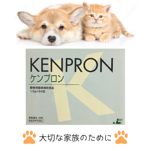 楽天市場】【レビュークーポンあり】【送料無料】ケンプロン 36包 動物