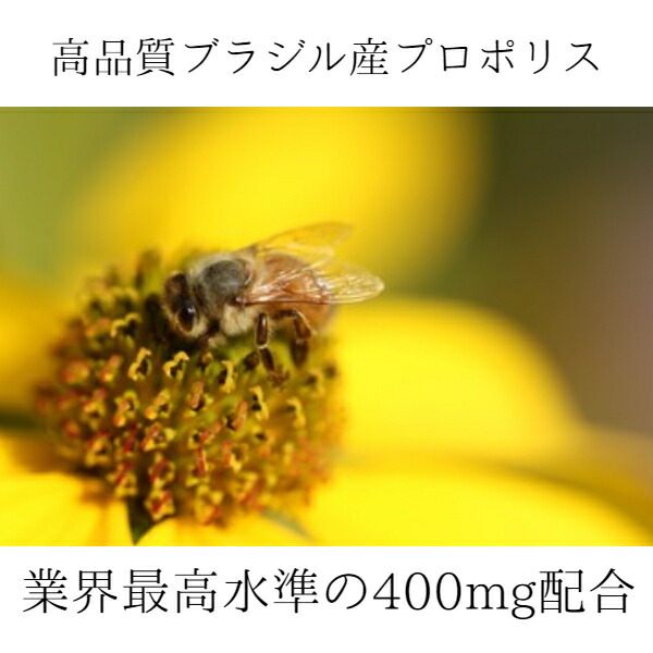 希望者のみラッピング無料 ナチュラルプロポリス400 150粒 3個セット 健康 美容 生活習慣 守る サプリメント ブラジル産 フラボノイド セット売り Fucoa Cl
