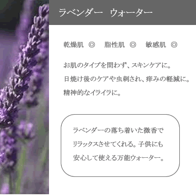 【国産ラベンダーウォーター200ml】→ラベンダーの清々しく、包み込むような優しい香り♪(全てのお肌に)完全国産の本物のハーブウォーター【KENSO/ケンソー/健草医学舎】(ハーブウォーター/フローラルウォーター/化粧水)
