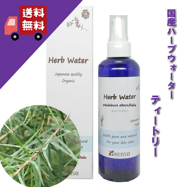 楽天市場】【入荷！】【シアバター油（ホワイトタイプ） 100ml】使いやすく精製された白色無香タイプ。かさかさ肌に♪【KENSO（ケンソー ）】（キャリアオイル/植物油/ベースオイル/マッサージオイル/トリートメントオイル/アロマオイル） : 自然のくらし