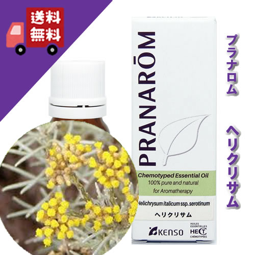 【ヘリクリサム 5ml】→ラズベリーを想わせる、甘さと口さかしいさのある芳ばしさ♪（伸び伸びする草本系）生まれながら無農薬有機作りだす油絵の具【PRANAROM（プラナロム）/NARD（ナードジャパン）】（揮発油/アロマオイル/エッセンシャルオイル）P-79