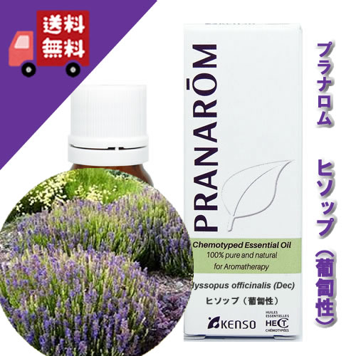 プラナロム ヒソップ（葡匐性） 5ml p-82 置き目品シソ科 リフレッシュ薬草系 ヒソップに比べて、あま味の揺るぎ無い芳ばしさ（オーガニック 揮発油 アロマオイル ケモタイプ エッセンシャルオイル）【PRANAROM プラナロム 健草医科舎 ケンソー】