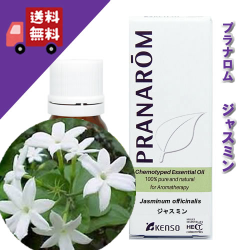 【コスモス】PRANAROM ジャスミン 5ml プラナロム 精油 pran_e_jyasu01.jpg