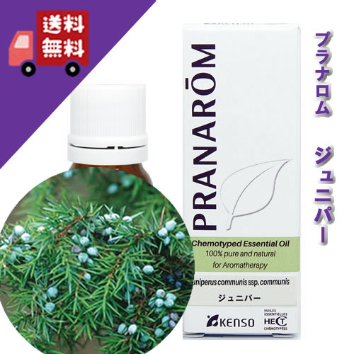 【iku❤︎さん専用】プラナロム　ブラックスプルースBIO10ml＋他3品 プラナロム ブラックスプルース BIO 10ml PRANAROM 精油