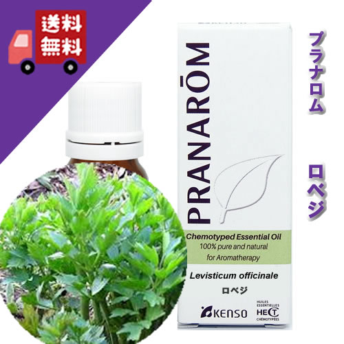 【限定販売】【ロベジ 5ml】 →力強い、スパイシーでフレッシュな香り♪（リフレッシュハーブ系） 天然無農薬有機栽培オイル 【PRANAROM（プラナロム）/NARD（ナードジャパン）】 （精油/アロマオイル/エッセンシャルオイル）P-105