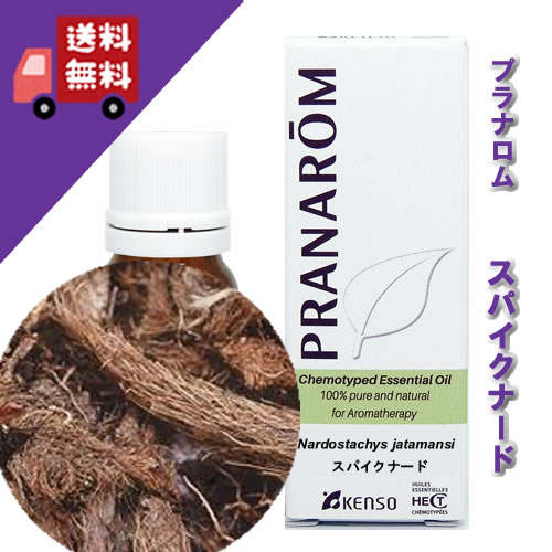 【制限事項売りわたす】【スパイクナード 10ml】→手ぬるいキャラメルとカストリウム様の、落ち着いた芳ばしさ♪（伸び伸びする草本系）生まれながら無農薬有機作り出すのオーガニックオイル【プラナロム/健草刀圭舎（ケンソー）】（揮発油/アロマオイル/エッセンシャルオイル）P-126 エッセンシャルオイル・精油-美容・コスメ・香水