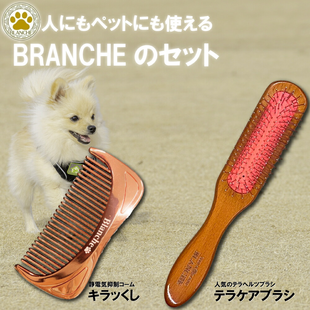 お得な引き換え証＆出来事のごお引き回し 百貨店SALE