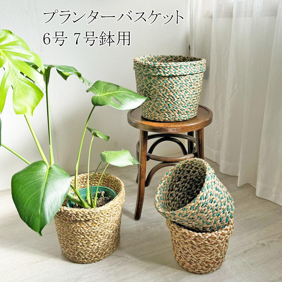 楽天市場】【11/23は当店20％OFF+P5倍】 吊るす観葉植物 吊るす インテリア 雑貨 吊り下げ 観葉植物 吊るす 室内 バスケット 吊るす収納  植木鉢 カゴ ロープ ハンギングプランター シーグラス バスケット プランターカバー 鉢カバー ハンギング プラントハンガー ...