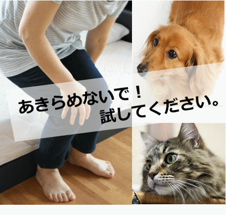 最初の 脚 腰の健康に 楽らく非変性2型コラーゲン 60粒 犬用品 Doguc2 Districtscooters Com