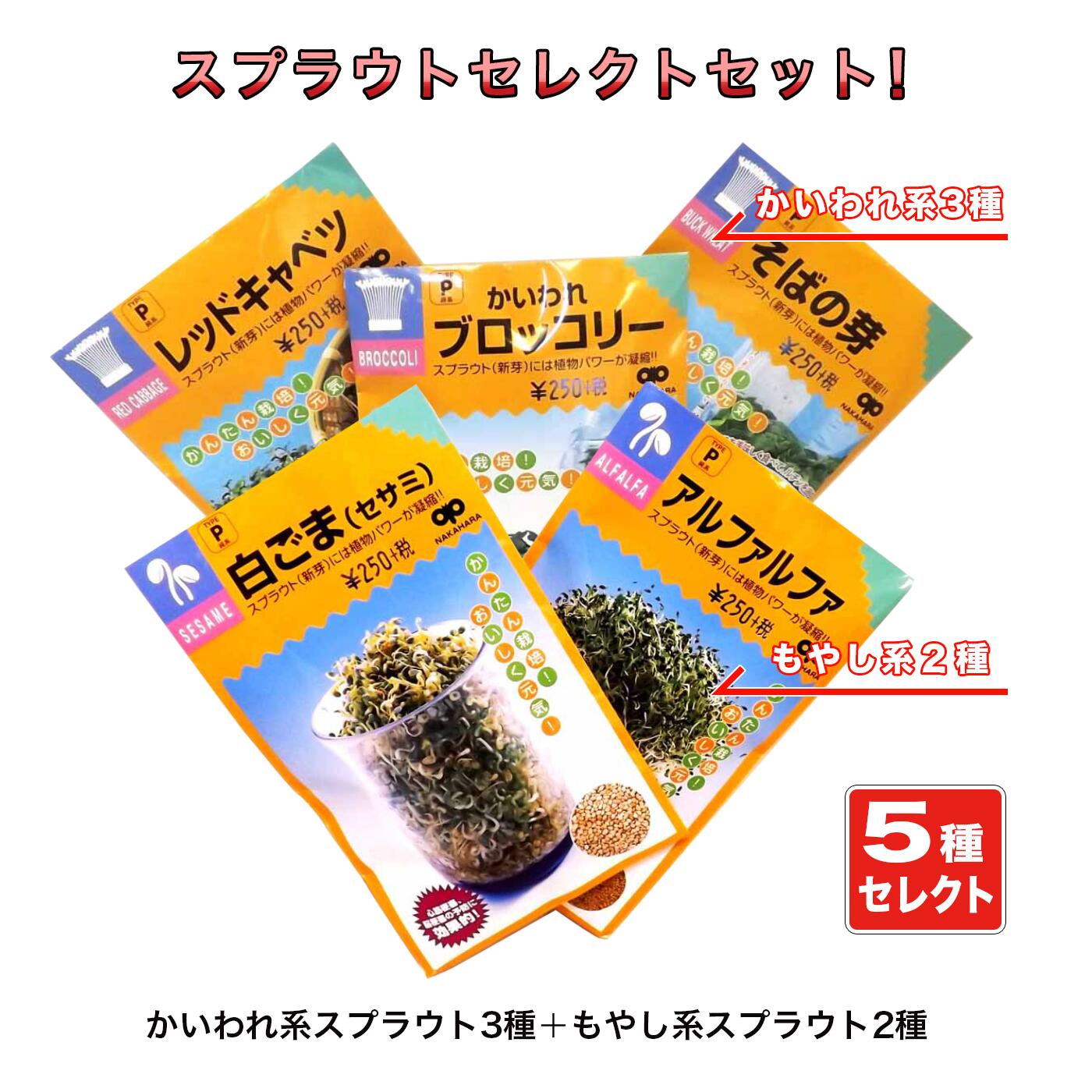 にんじん様 NINJA ZX-25R PAD, 95X20X20 39156-2631-BC | KAWASAKI,ZX25R