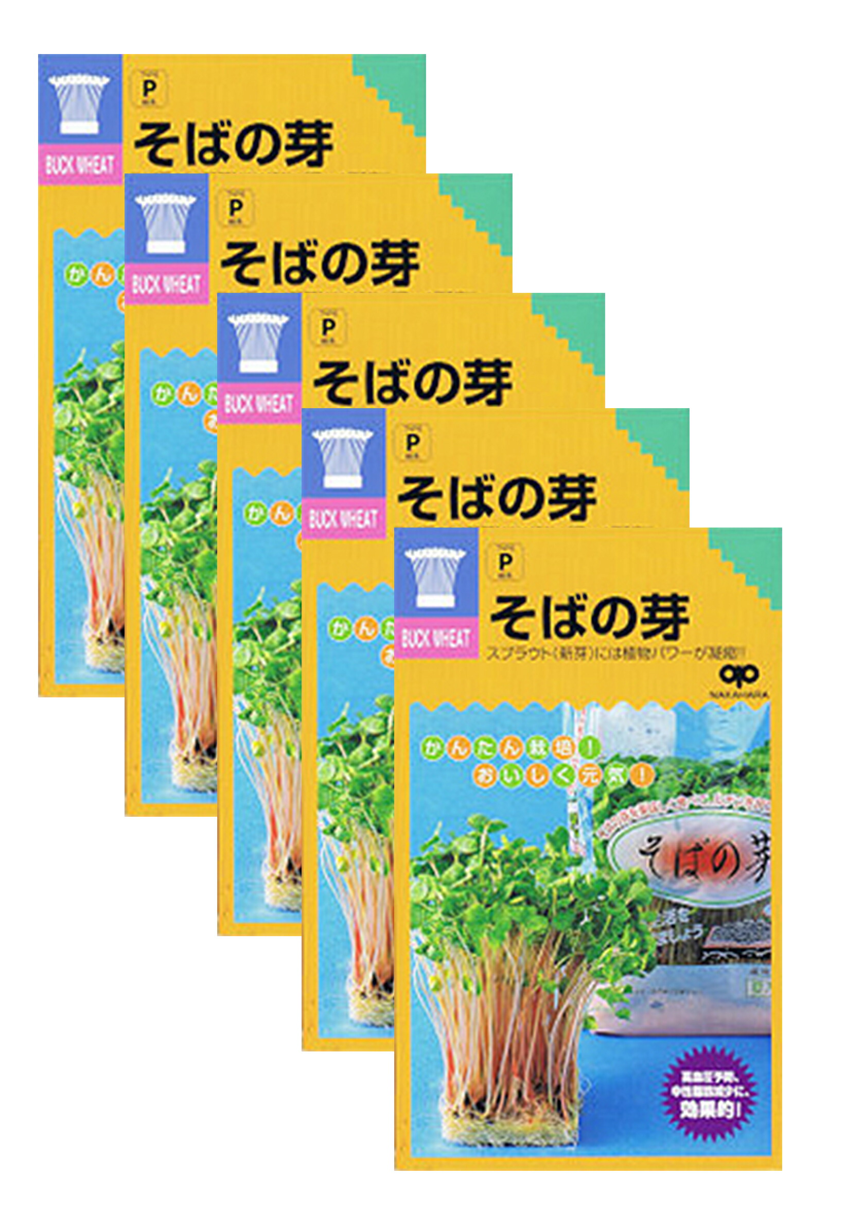 楽天市場】【種】 スプラウト アルファルファ 40ml 5袋セット （郵便配送商品） : nature-ami 楽天市場店