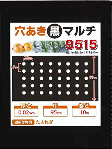 楽天市場 マルチ 穴あき黒マルチ9515 玉ねぎ用 孔径が60mm 10m 郵便配送商品 Nature Ami 楽天市場店