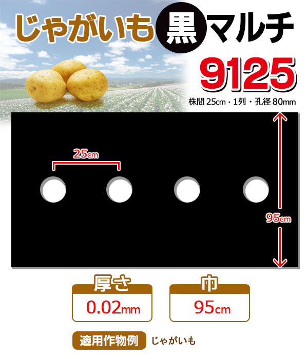 楽天市場】【マルチ】 ホール黒マルチミシン目付 野菜全般 1m （郵便