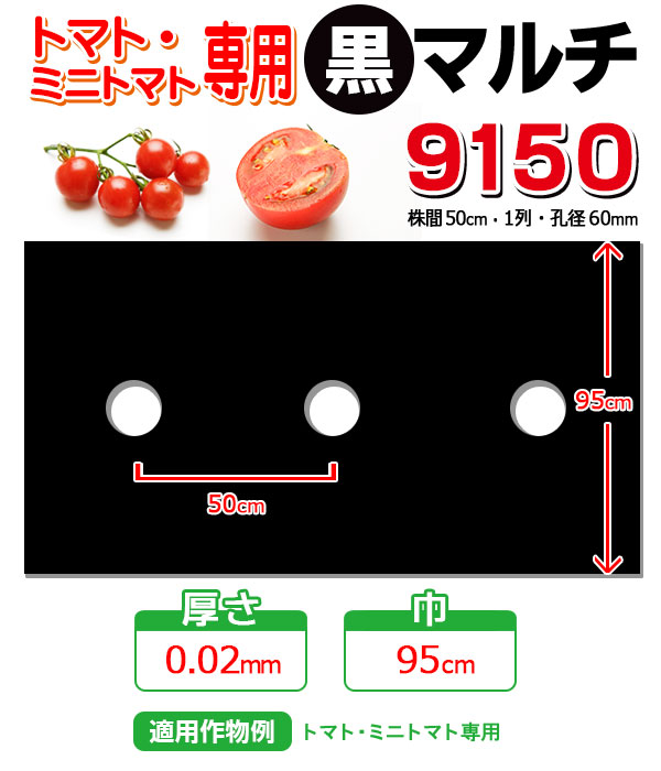 楽天市場】【マルチ】 ホール黒マルチミシン目付 野菜全般 1m （郵便