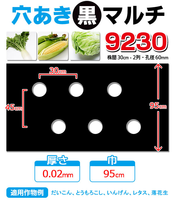 楽天市場】【マルチ】 ホール黒マルチミシン目付 野菜全般 1m （郵便